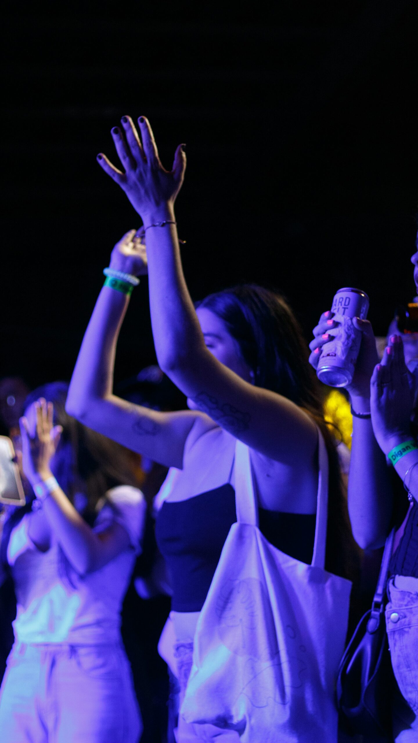 Público disfrutando de un concierto, imagen ideal para curiosidades sobre cantantes y famosos